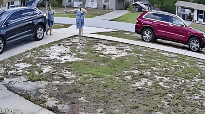 Light Socket Security Camera customer review Oliver S.